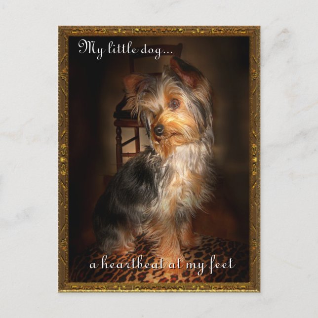 Heartslag vid mina fötter vykort (Framsida)