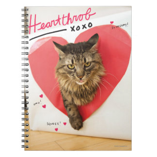 Heartthrob Katt Anteckningsbok Med Spiral