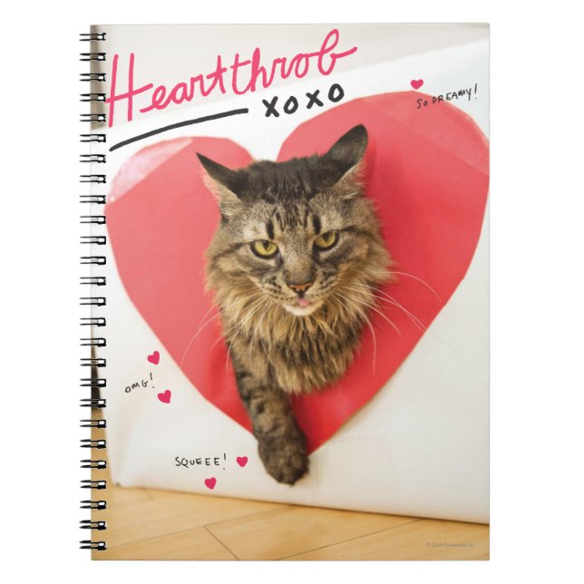 Heartthrob Katt Anteckningsbok Med Spiral (Framsidan)