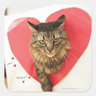 Heartthrob Katt Fyrkantigt Klistermärke