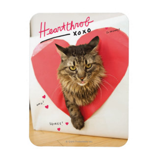 Heartthrob Katt Magnet
