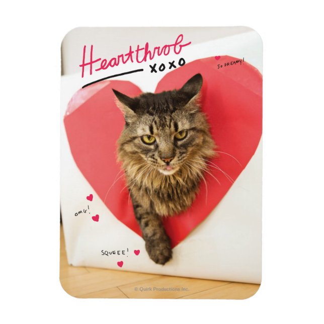 Heartthrob Katt Magnet (Vertikal)