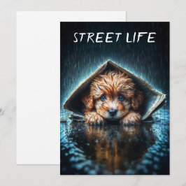 Heartwarming blöt hund i stormväder inbjudningar