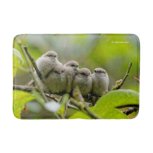 Heartwarming Cute Bushtuttar Songbird Family Photo Badrumsmatta