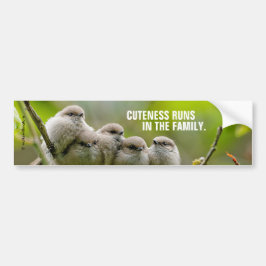 Heartwarming Cute Bushtuttar Songbird Family Photo Bildekal