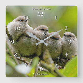 Heartwarming Cute Bushtuttar Songbird Family Photo Fyrkantig Klocka