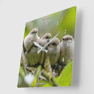 Heartwarming Cute Bushtuttar Songbird Family Photo Fyrkantig Klocka
