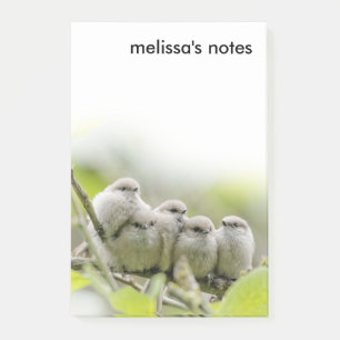 Heartwarming Cute Bushtuttar Songbird Family Photo Post-it Block