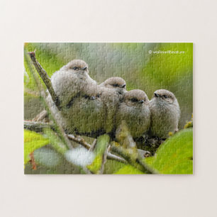 Heartwarming Cute Bushtuttar Songbird Family Photo Pussel