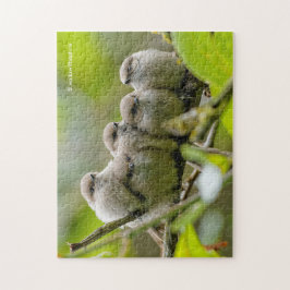 Heartwarming Cute Bushtuttar Songbird Family Photo Pussel