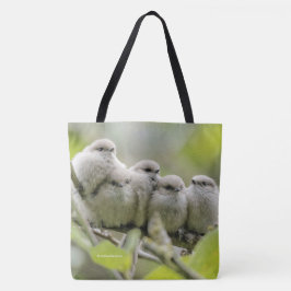 Heartwarming Cute Bushtuttar Songbird Family Photo Tygkasse