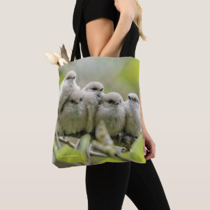 Heartwarming Cute Bushtuttar Songbird Family Photo Tygkasse