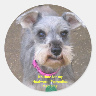 Heartworm Medicine Reminder Stickers Runt Klistermärke