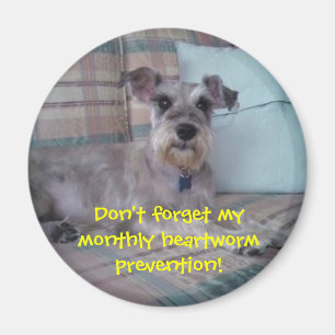 Heartworm påminnelsemagnet magnet