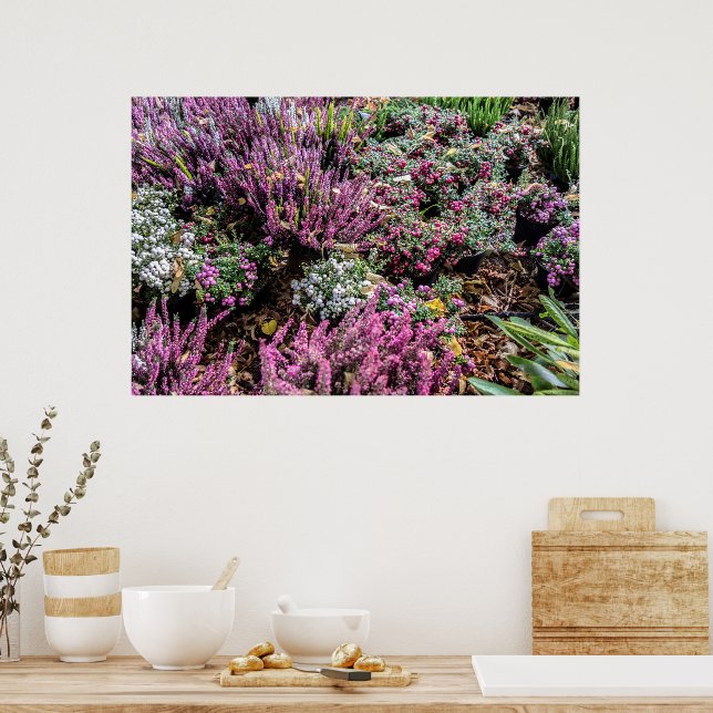 Heather och bär poster (Kök)