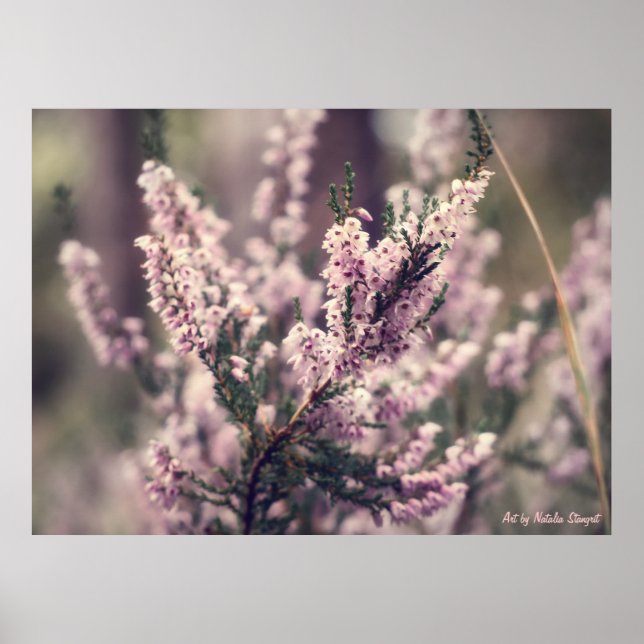 Heather Poster (Framsidan)