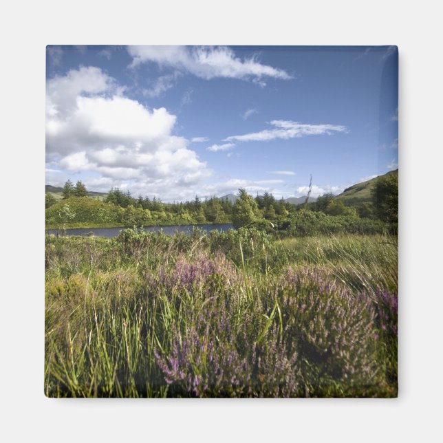 Heathland Magnet (Framsidan)
