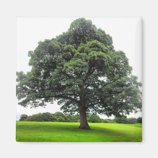 Heaton Park Magnet (Framsidan)