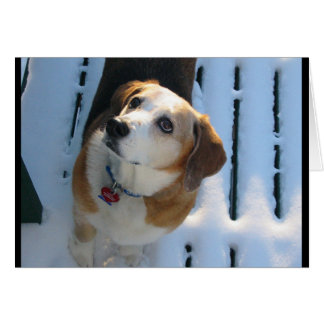 Heaven Hound Hälsningskort