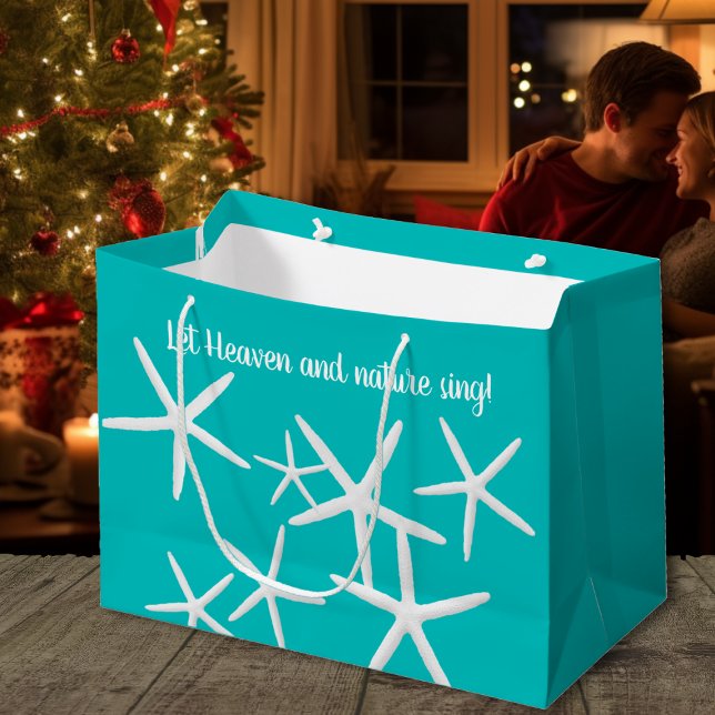 Heaven n Nature Starfish Beach jul (Skapare uppladdad)