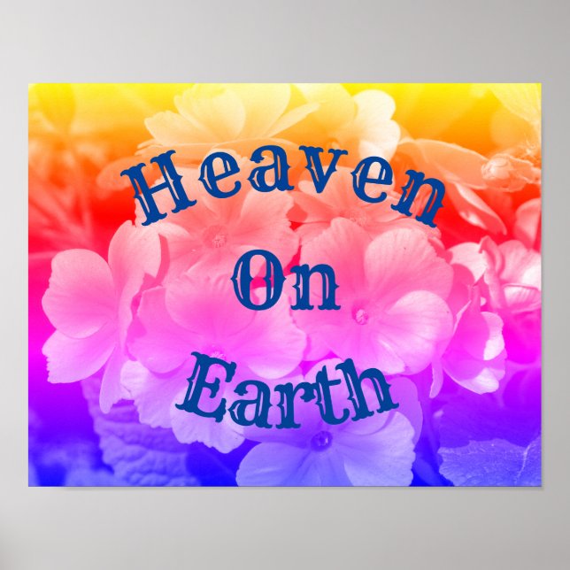 Heaven On Earth Primrose Flowers Poster (Framsidan)