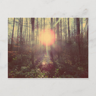 Heaven's Light Vykort