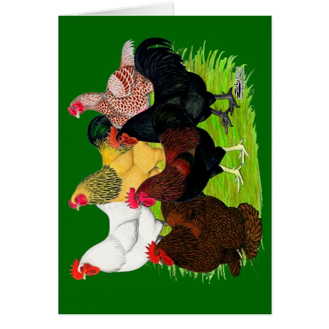 Heavy Tupp Assortment OBS Kort (Framsidan)