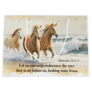 Hebrar 12 1-2 Springa med Endurance Horse Bible