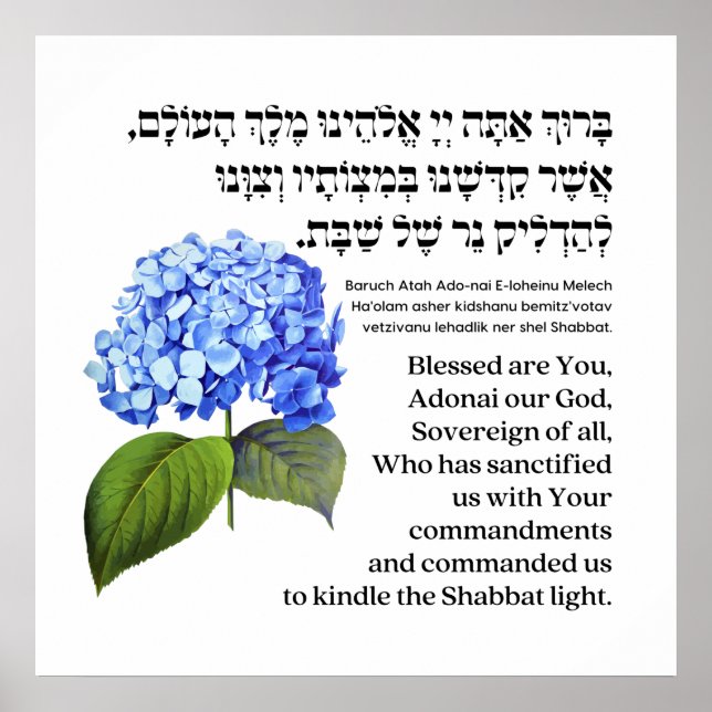 Hebreiska bladen för shabbat Candles Hydrangea Poster (Framsidan)