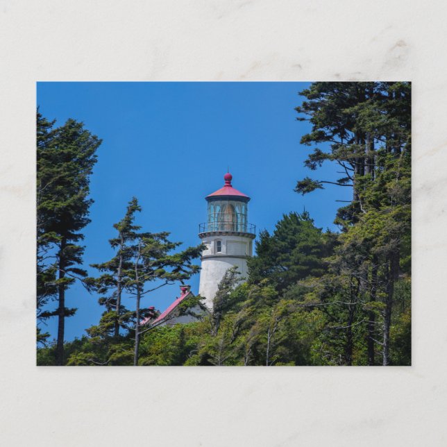 Heceta Head Lighthouse | Oregon Kusten | vykort (Framsida)