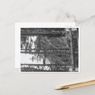 Heceta-huvud - vykort b&w