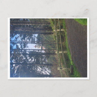 Hecetas fyr från spåret vykort