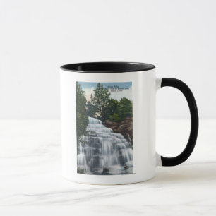 Hector Falls nära Seneca Sjö View Mugg