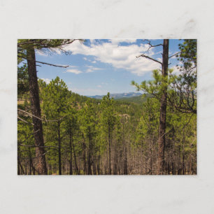 Heddy Draw Overlook, Custer State Park, SD Vykort