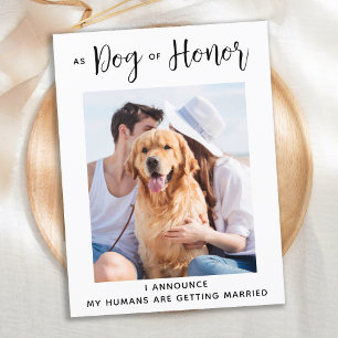 Hedershund Bröllop Hund Bröllop Spara Datumet Meddelande Vykort