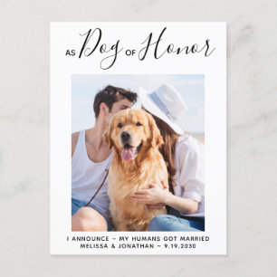 Hedershund Nyss Gift Hundbröllop Meddelande Vykort