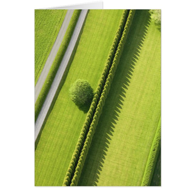 Hedge i hampton hälsningskort (Framsidan)