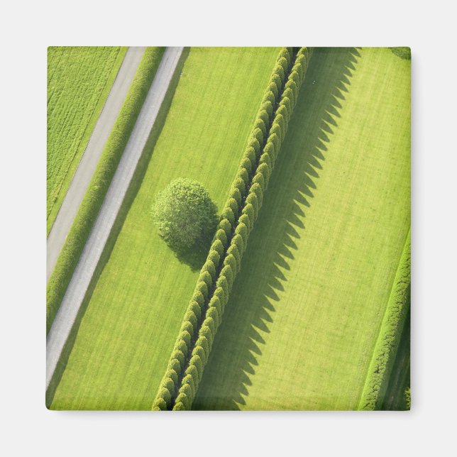 Hedge i hampton magnet (Framsidan)
