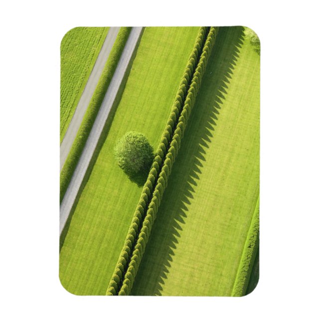 Hedge i hampton magnet (Vertikal)