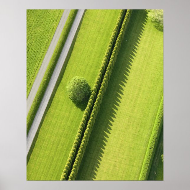 Hedge i hampton poster (Framsidan)