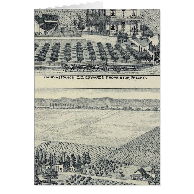 Hedge Row Vineyard, Fresno Hälsningskort (Framsidan)