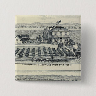 Hedge Row Vineyard, Fresno Knapp