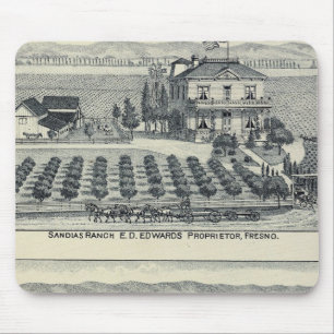 Hedge Row Vineyard, Fresno Musmatta