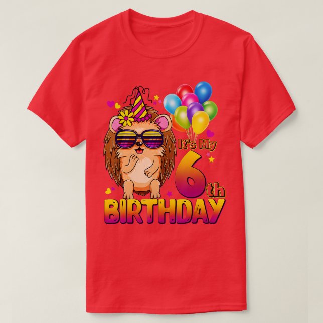 Hedgehog 6th Birthday Shirt 6 Years Old Hedgehog B T Shirt (Design framsida)