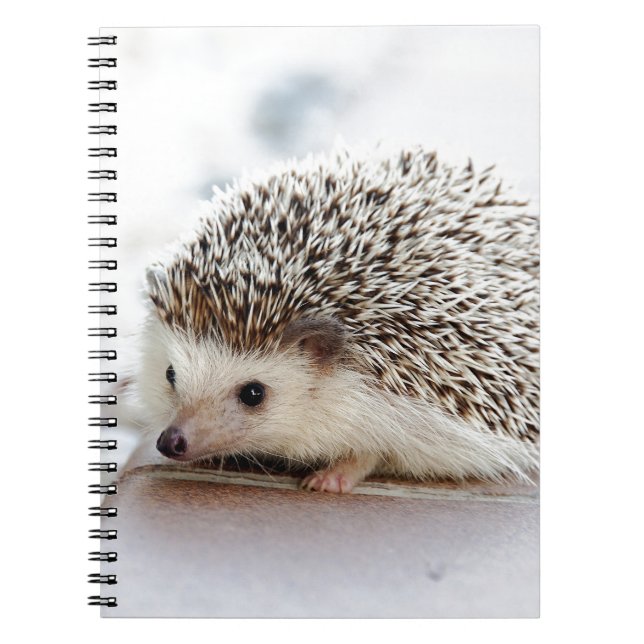 Hedgehog Anteckningsbok (Framsidan)
