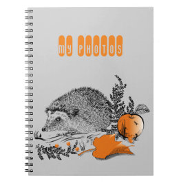 Hedgehog Anteckningsbok Med Spiral