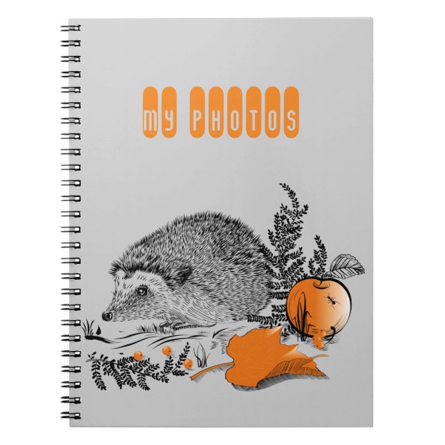 Hedgehog Anteckningsbok Med Spiral (Framsidan)