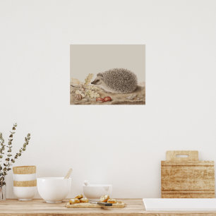 Hedgehog av Giovanna Garzoni Poster