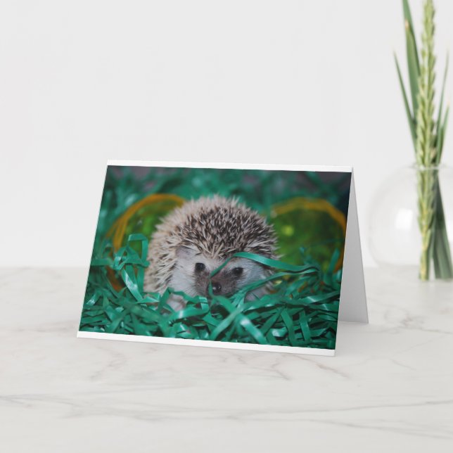 Hedgehog Baby i Påsk Grass Helgkort (Framsida)