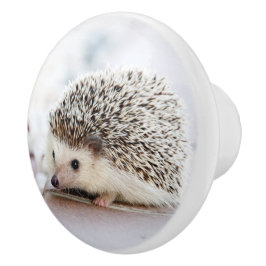 Hedgehog Baby Knopp